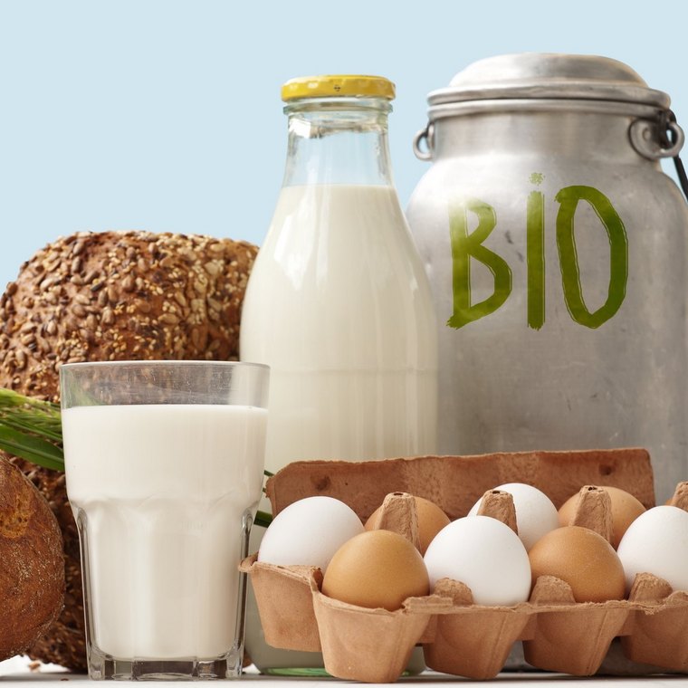 Eine Auswahl an Bio-Produkten: Bio-Milch, Bio-Eier und Bio-Brot.